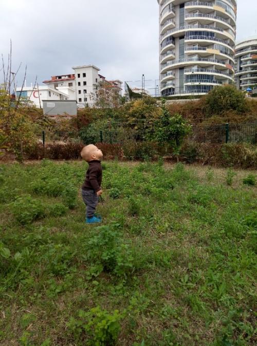 Небольшой дайджест о нашей жизни - путеводитель по фото. 01 Небольшой дайджест о нашей жизни - путеводитель по фото. 01