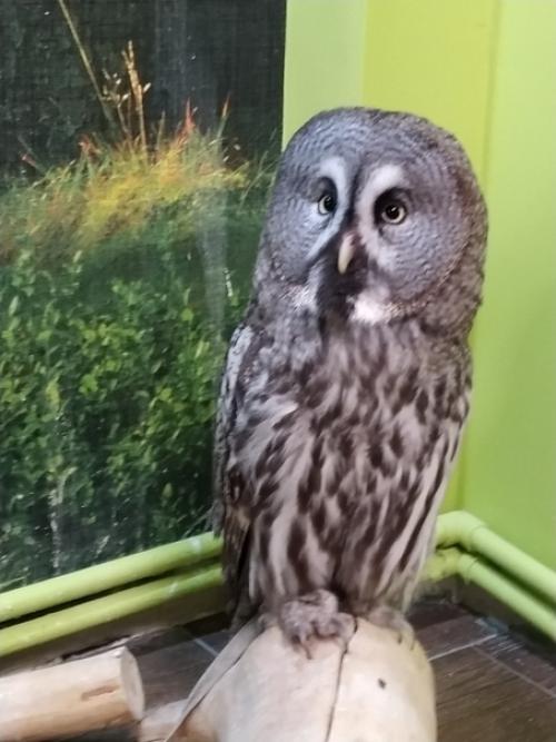 Живые.  Человечные.  Наш третий день в столице был нацелен на общение с самыми разными зверями. 03