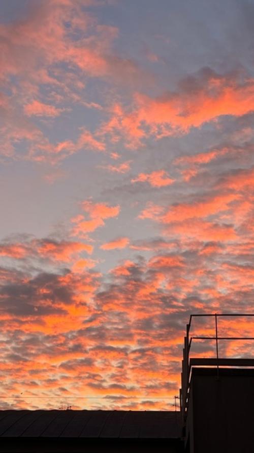 Максанс свет наш Дане - фовель за неделю тоже успел много чего. 04