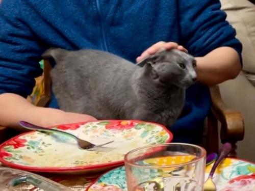 У бабушки - внучка, у лёвы - кошка, у лёни … плоскогубцы! 05 У бабушки - внучка, у лёвы - кошка, у лёни … плоскогубцы! 05