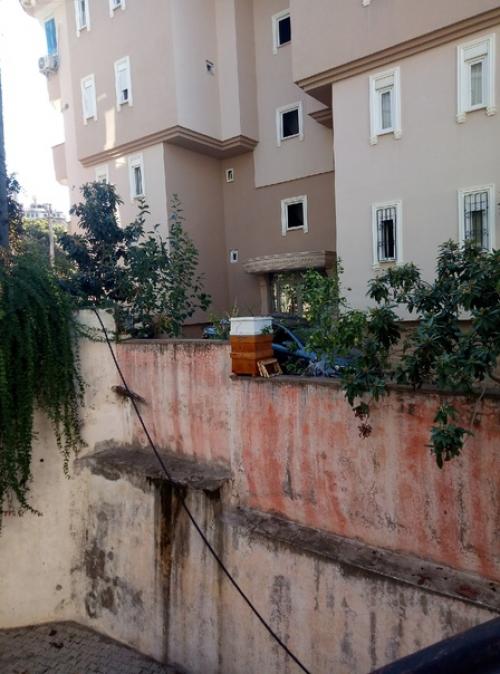 Небольшой дайджест о нашей жизни - путеводитель по фото. 03 Небольшой дайджест о нашей жизни - путеводитель по фото. 03