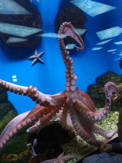 Живые.  Человечные.  Наш третий день в столице был нацелен на общение с самыми разными зверями. 06