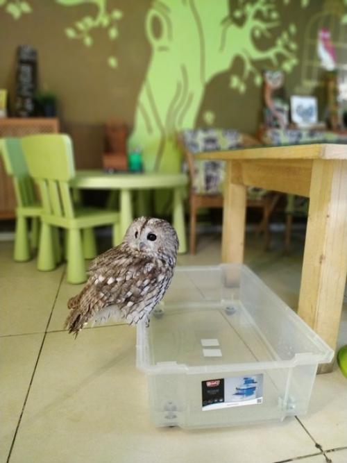 Живые.  Человечные.  Наш третий день в столице был нацелен на общение с самыми разными зверями. 02