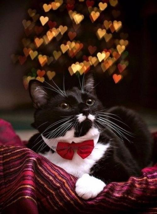 Надо уметь быть счастливым каждый момент, а не ждать что счастье наступит когда - нибудь потом. 02