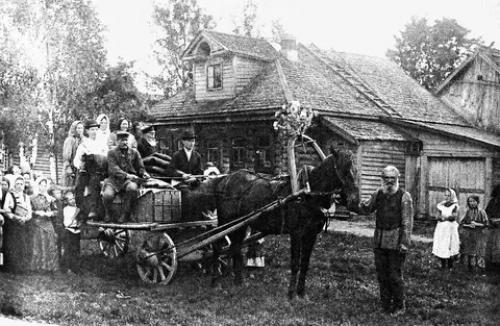 Моя родная коноплянка. 01