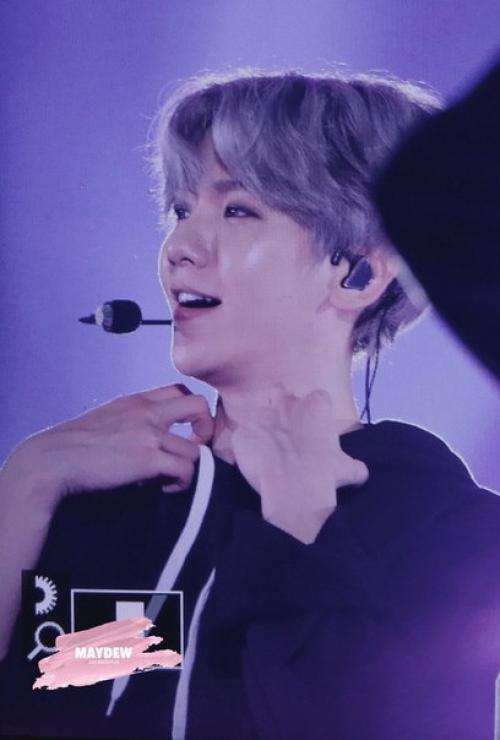 Trans_Fanacc@Exoeldorado exo. 05 Trans_Fanacc@Exoeldorado exo. 05