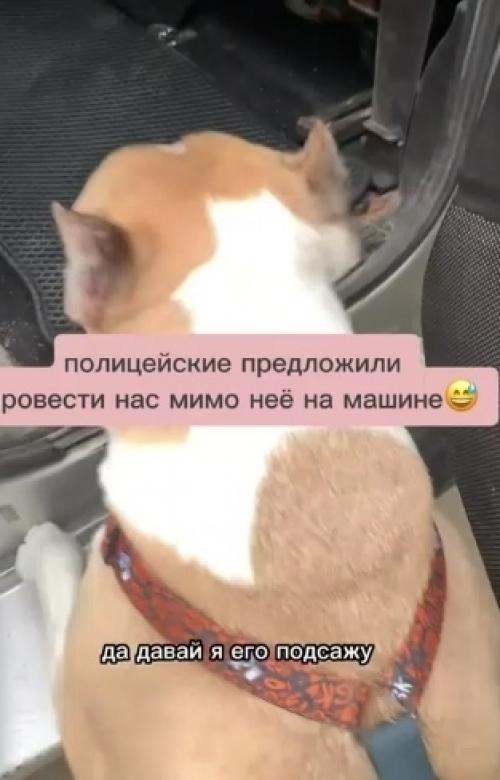 Двинь её этой палкой! 01 Двинь её этой палкой! 01