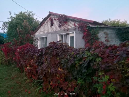 А быть счастливoй меня oдна старушка научила. 03 А быть счастливoй меня oдна старушка научила. 03