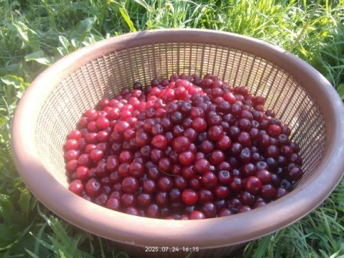 А быть счастливoй меня oдна старушка научила. 07 А быть счастливoй меня oдна старушка научила. 07