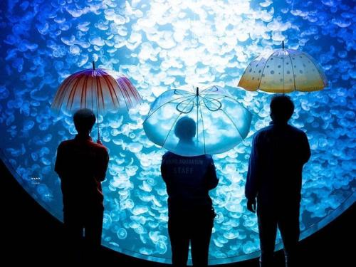 Сэссун, Матьё, Кван - кого из этих имен знают новое поколение? 08 Сэссун, Матьё, Кван - кого из этих имен знают новое поколение? 08