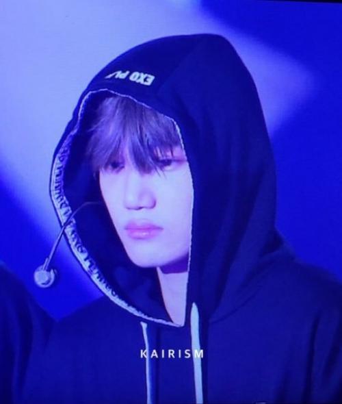 Trans_Fanacc@Exoeldorado exo. 04 Trans_Fanacc@Exoeldorado exo. 04