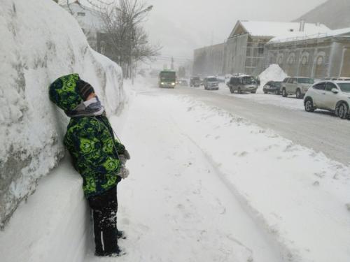 Цикл лекций по по началу зарождения нашей родословной от антрополога Станислава Дробышевского.   1. Purgatorius.  2. Plesiadapiformes. 03