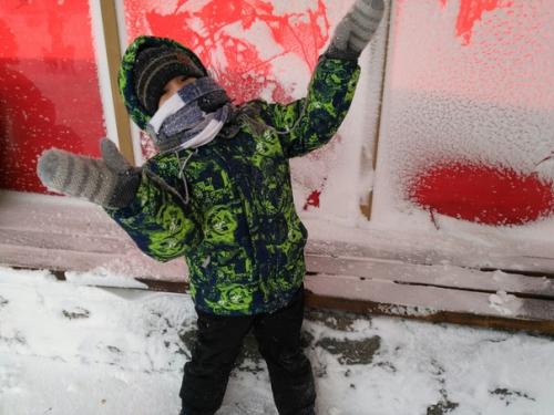 Цикл лекций по по началу зарождения нашей родословной от антрополога Станислава Дробышевского.   1. Purgatorius.  2. Plesiadapiformes. 04
