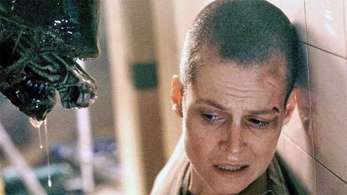 Сегодня увидеть Бритоголовую девушку не такое уж чудо. 04