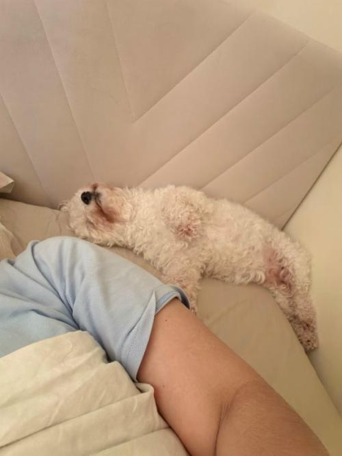 Номи - бусинка.  Бусинка сходила на свою первую стрижку, сделала чек ап своего здоровья. 08