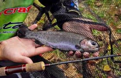 Рыбалка с использованием спиннинга на малых реках - занятие увлекательное и достаточно продуктивное. 01