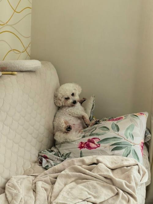 Номи - бусинка.  Бусинка сходила на свою первую стрижку, сделала чек ап своего здоровья. 03