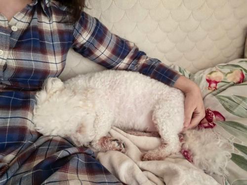 Номи - бусинка.  Бусинка сходила на свою первую стрижку, сделала чек ап своего здоровья. 02