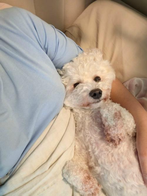 Номи - бусинка.  Бусинка сходила на свою первую стрижку, сделала чек ап своего здоровья. 06