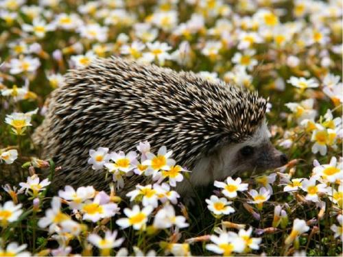 20 марта - всемирный день счастья. 03