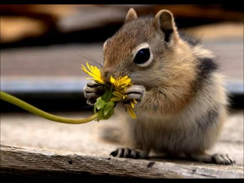 20 марта - всемирный день счастья. 05