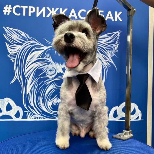 Ииии срочно в номер, смотрите как изменился тони после стрижки! 04