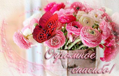 А вот и обещанные фото красавицы - трехлапки чары! 01