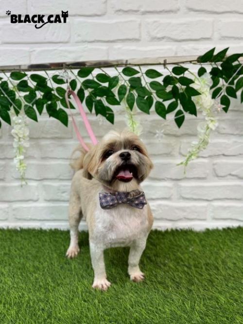 Вы только посмотрите в каком Плачевном состоянии была шубка Сони! 01