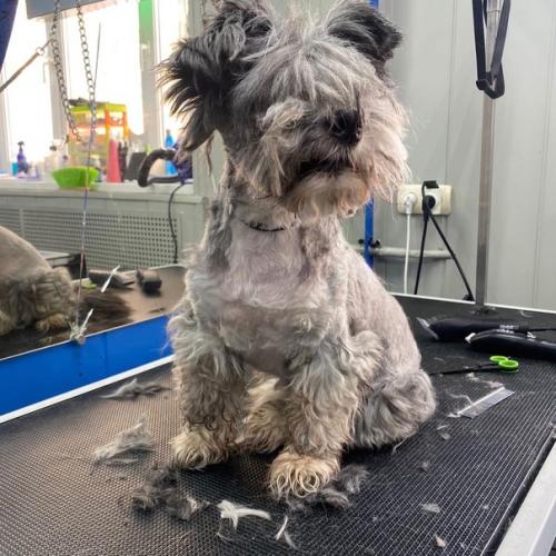 Ииии срочно в номер, смотрите как изменился тони после стрижки! 02