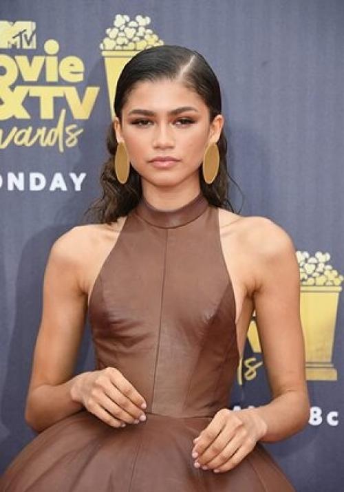 Первое фото - зендея сейчас, остальные - как её волосы выглядели раньше. 04