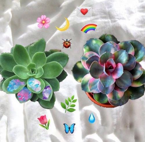 * как выглядеть безупречно? 01 * как выглядеть безупречно? 01