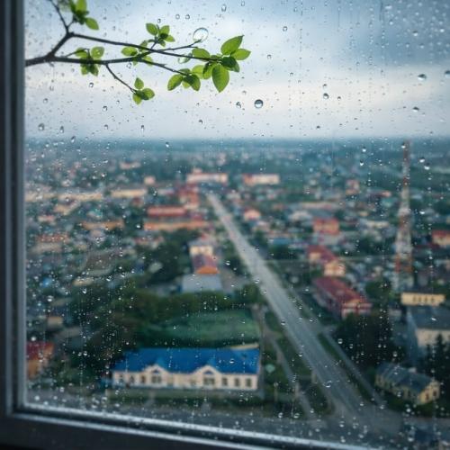 Осенило, что можно и для местных видов создать изображение. 01