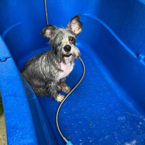 Ииии срочно в номер, смотрите как изменился тони после стрижки! 01