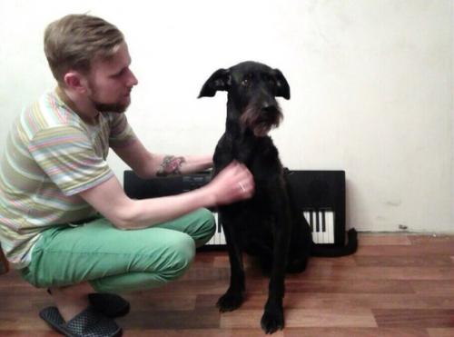 А вот и обещанные фото красавицы - трехлапки чары! 03