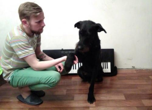 А вот и обещанные фото красавицы - трехлапки чары! 02