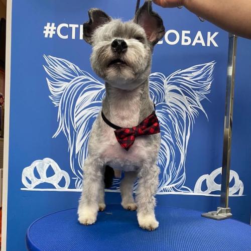 Ииии срочно в номер, смотрите как изменился тони после стрижки! 03