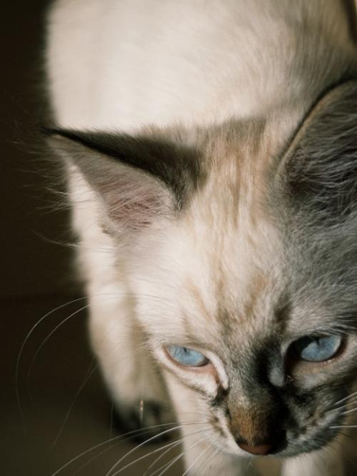 Весь май в этом году, для меня, был очень нагруженным. 04