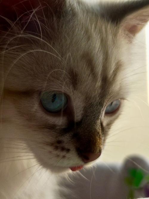 Весь май в этом году, для меня, был очень нагруженным. 02