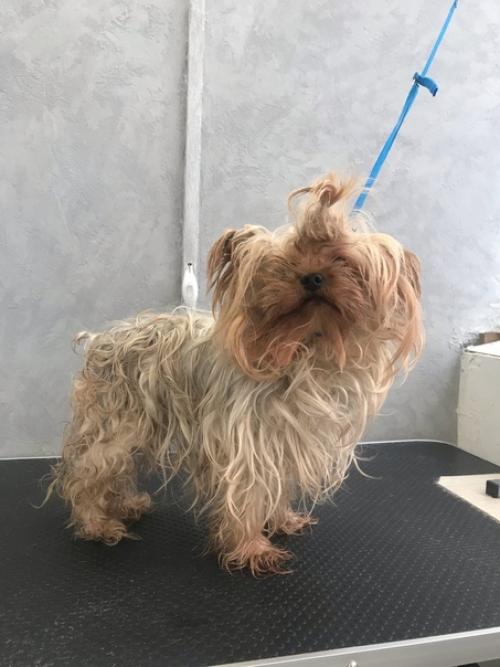 Ух и сезончик выдался! 01