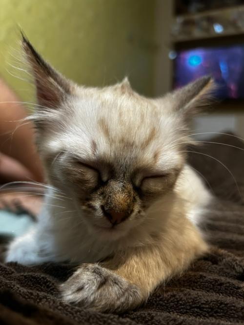 Весь май в этом году, для меня, был очень нагруженным. 01