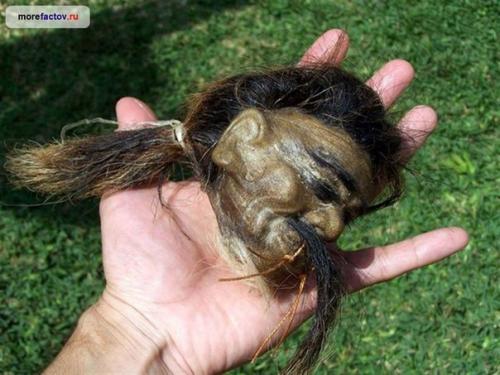 Невероятный амулет Тсантса. 02 Невероятный амулет Тсантса. 02