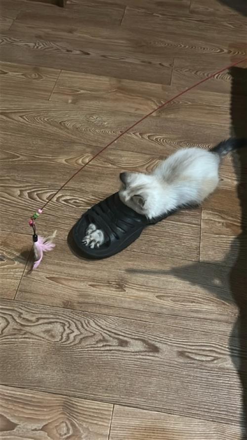 Весь май в этом году, для меня, был очень нагруженным. 03