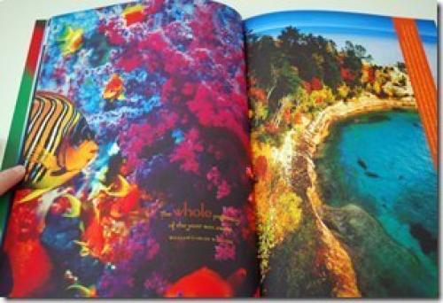 Бабочки из бумаги. 03 Бабочки из бумаги. 03