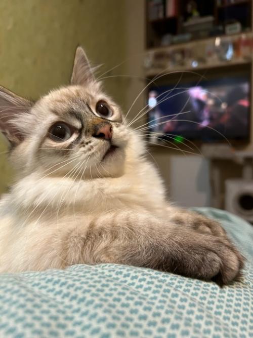 Весь май в этом году, для меня, был очень нагруженным. 06