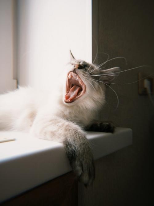 Весь май в этом году, для меня, был очень нагруженным. 07