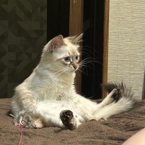 Весь май в этом году, для меня, был очень нагруженным. 05