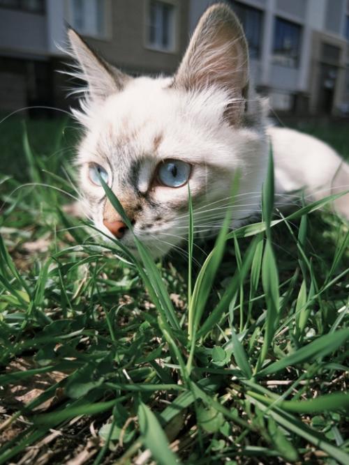 Весь май в этом году, для меня, был очень нагруженным. 08