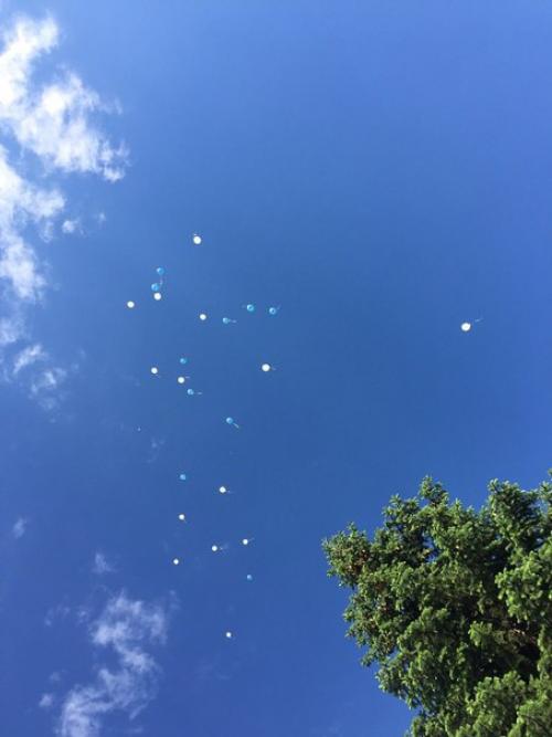 Самый лучший день вчера заходил. 06