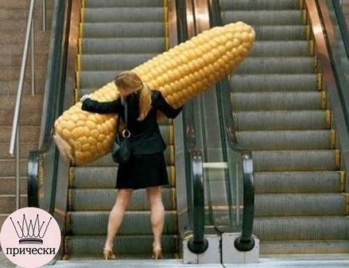 На этих фото больше загадок, чем объяснений. 05