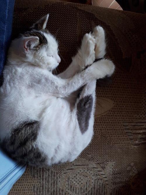 Милейшая звездочка любящие ручки ищет! 05